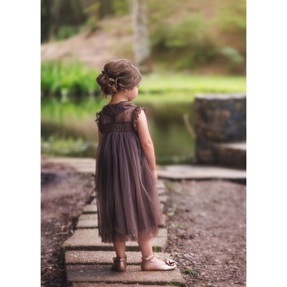 NWT Trish Scully Chocolate Alessandra Dress - Picture 2 of 10